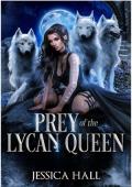 Portada de Presa de la reina Lycan (Serie Indeseada nº 2)