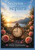 Portada de SECRETOS QUE NOS SEPARA