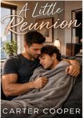 Portada de Un pequeño reencuentro (Un romance ABDL de segunda oportunidad)