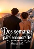 Dos semanas para enamorarte