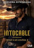 Intocable (Amar a un cowboy 1)