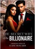 La esposa secreta del multimillonario