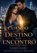 Portada de Cuando el Destino nos encontró