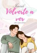 Portada de Volverte a ver (Volver 1)