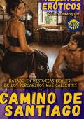 Portada de Camino de Santiago - Relatos Eróticos (Aventuras en Locales Swinger)