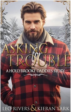 Buscarse problemas (Papis de Hollybrooke nº 2)