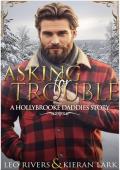 Portada de Buscarse problemas (Papis de Hollybrooke nº 2)