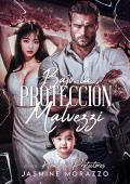Bajo la protección de Malvezzi (Hombres Protectores 1)