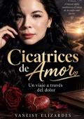 Portada de Cicatrices de Amor un viaje a travez del dolor (Cicatrices de amor un viaje a trabez del dolor nº 1)