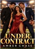 Bajo contrato (Dos son mejor que uno nº 2)