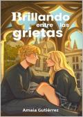 Portada de Brillando entre las grietas