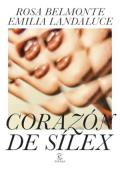 Portada de Corazón de sílex