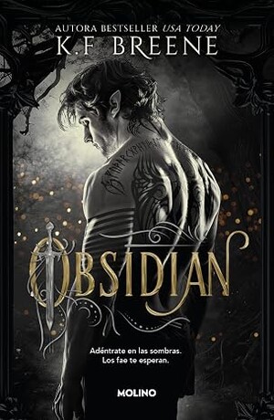 Obsidian (Los fae de las sombras 1)
