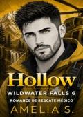 Portada de Hollow (Wildwater Falls 6)